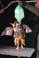 Carlos erster Flug 3