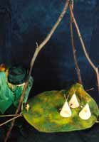 Kleiner Mond